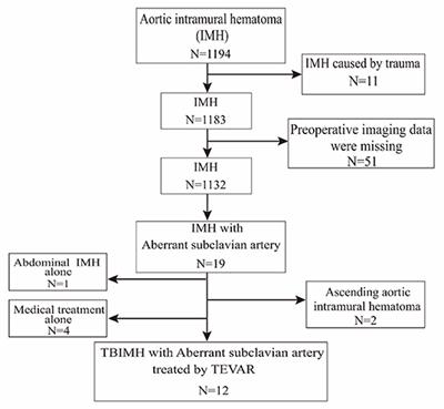 Thoracic Endovascular Aortic Repair for Aberrant Subclavian Artery and Stanford Type B Aortic Intramural Hematoma